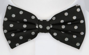 AARON bow tie