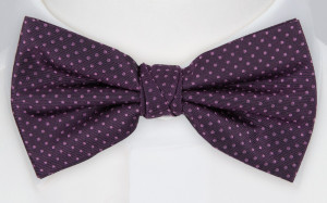 ALLAN bow tie