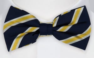 ANDOR bow tie