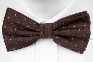 ARAM bow tie