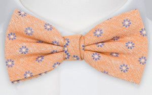 AGOGO ORANGE bow tie