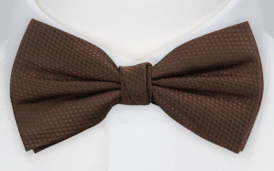 BIRDSEYE BROWN pre-tied bow tie