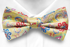 BOTANIFTY YELLOW bow tie