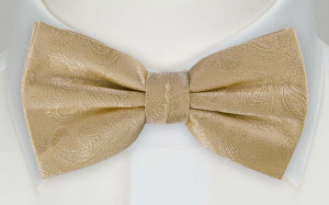 BRUD CHAMPAGNE pre-tied bow tie