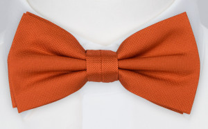 DAUDI pre-tied bow tie