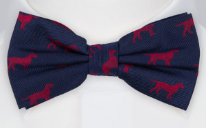 ENDAL bow tie