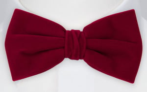 EDGAR pre-tied bow tie