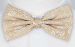 ENCHANTMENT CHAMPAGNE bow tie
