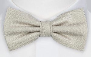 ENDLESSLOVE CHAMPAGNE bow tie