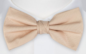 Espousal CHAMPAGNE PINK bow tie