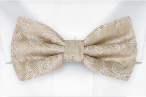 EVERAFTER CHAMPAGNE GOLD bow tie