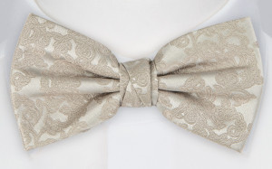Excitement TAUPE bow tie