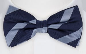 FABIAN bow tie