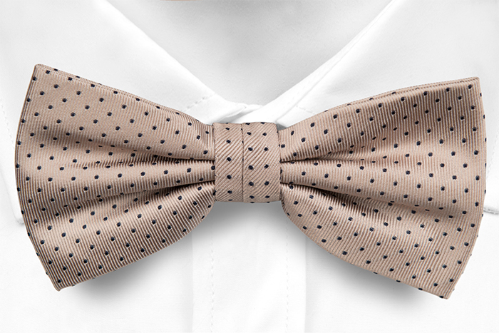 FEHMI bow tie