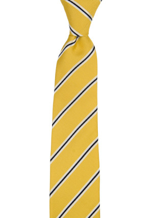 FIDDLESTICKS LION skinny tie