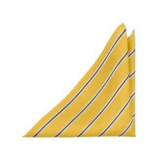 FIDDLESTICKS LION pocket square