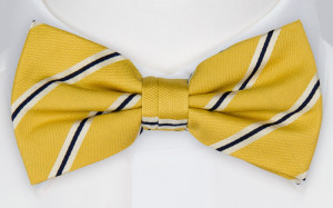 FIDDLESTICKS LION bow tie