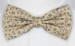 FONDNESS CHAMPAGNE bow tie