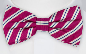 HALLIGANG FUCHSIA bow tie