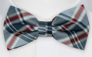 BJARKE bow tie