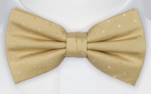 BRUDGUM CHAMPAGNE bow tie