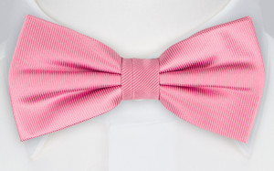 ENRIQUE bow tie
