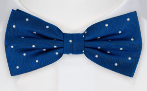 FESTLIG COBALT bow tie