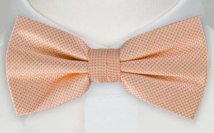 FIRA APRICOT bow tie