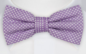 GILLA PURPLE bow tie