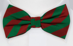 HANS bow tie