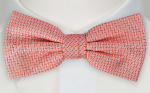 KARASTE CORAL bow tie
