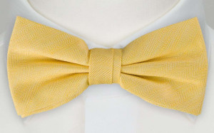 OGONSTEN YELLOW bow tie