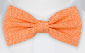 SUKSHINDER bow tie