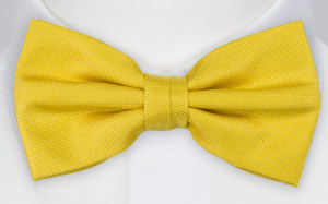 SURYA bow tie