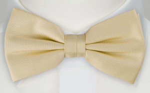 UDO bow tie