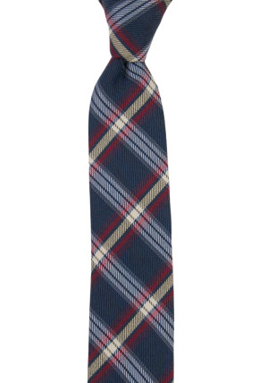 INCHECK DARK BLUE skinny tie