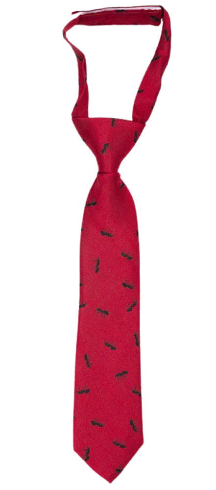 ANTBARON Red boy's tie small pre-tied