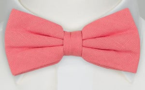 BASKETVEIL PINK bow tie