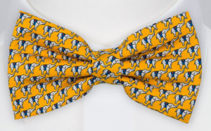 BOCCAGLIO YELLOW bow tie