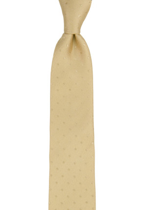 BRUDGUM CHAMPAGNE skinny tie