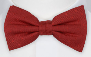 BRUDGUM RED bow tie
