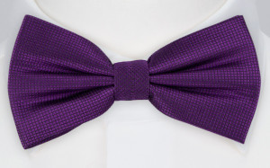 CHICO pre-tied bow tie