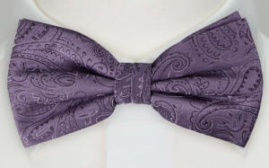 DARIN pre-tied bow tie