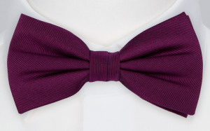 DIGGIDY AUBERGINE bow tie