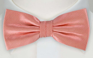 DRUMMEL CORAL pre-tied bow tie