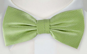 DRUMMEL GREEN pre-tied bow tie