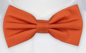 DRUMMEL ORANGE bow tie