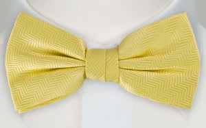 DRUMMEL YELLOW bow tie