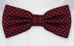 HAGELSTORM BURGUNDY bow tie