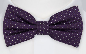 HAGELSTORM PURPLE bow tie